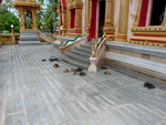 Puket Explorer  Wat Chalong Tempel Schuhe vor einem Tempeleingang (TH).